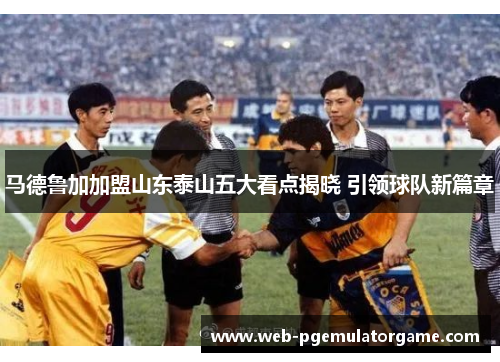 马德鲁加加盟山东泰山五大看点揭晓 引领球队新篇章